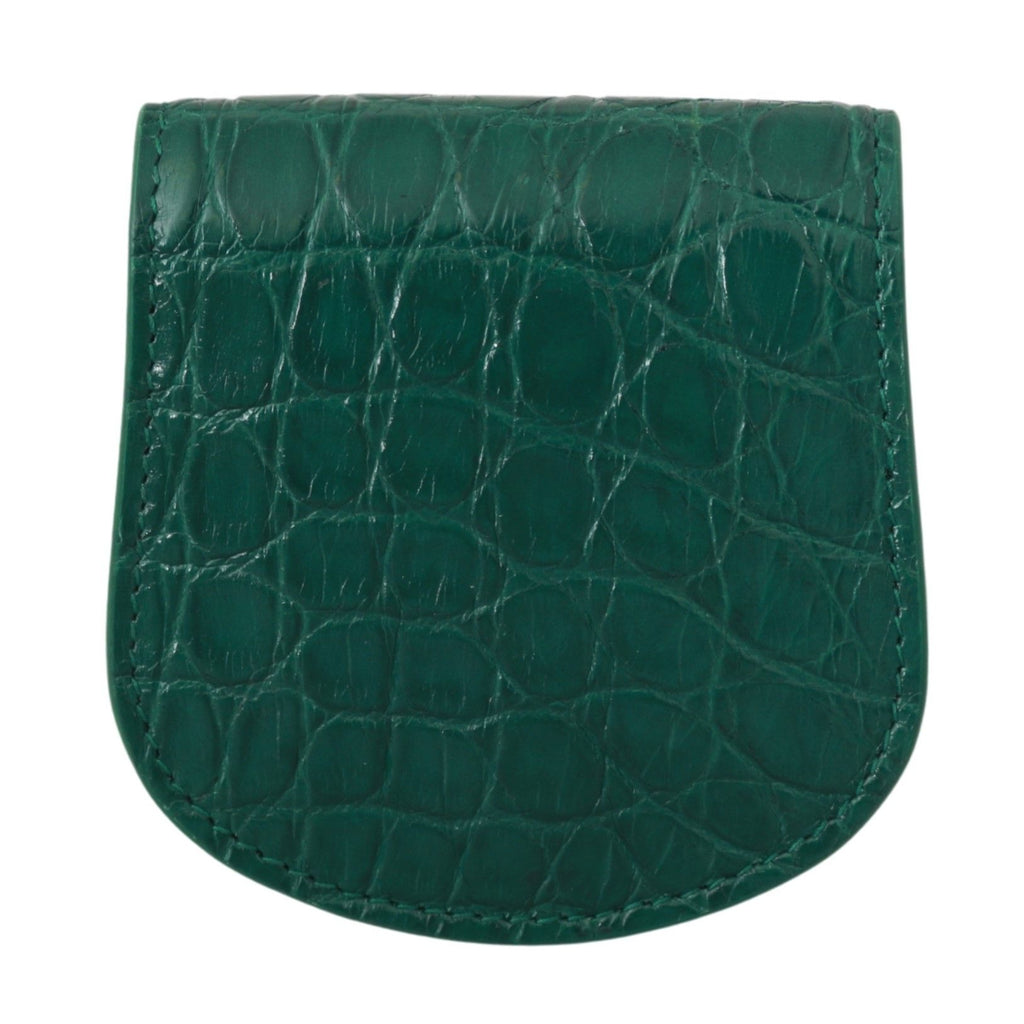 Portacondom Dolce & Gabbana in Pelle Esotica Verde
