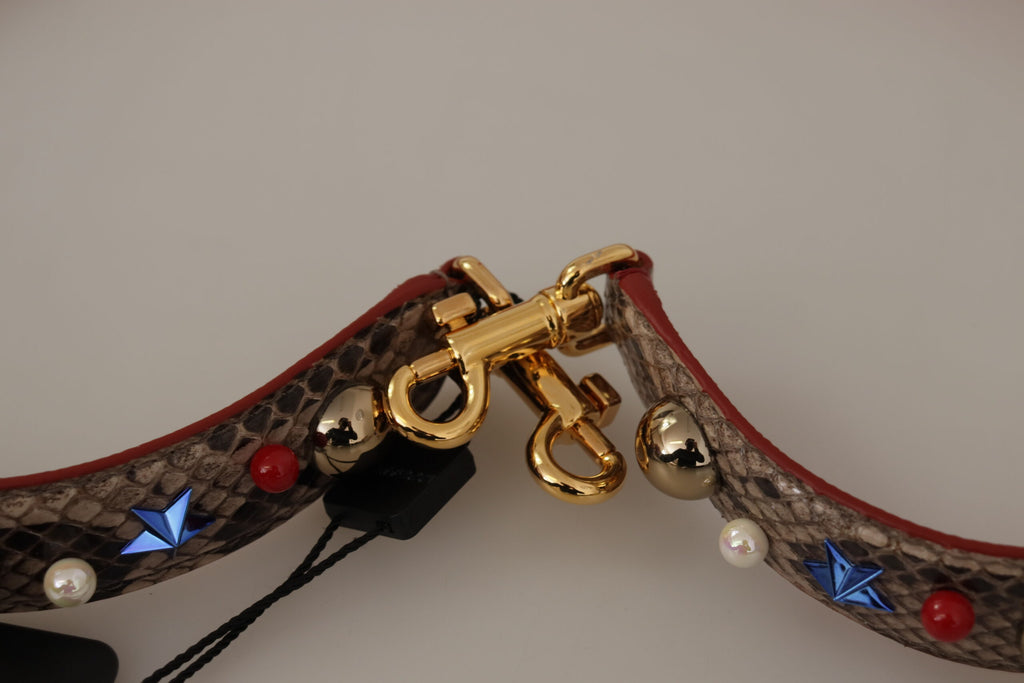 Tracolla borchiata Dolce & Gabbana in pelle di pitone marrone