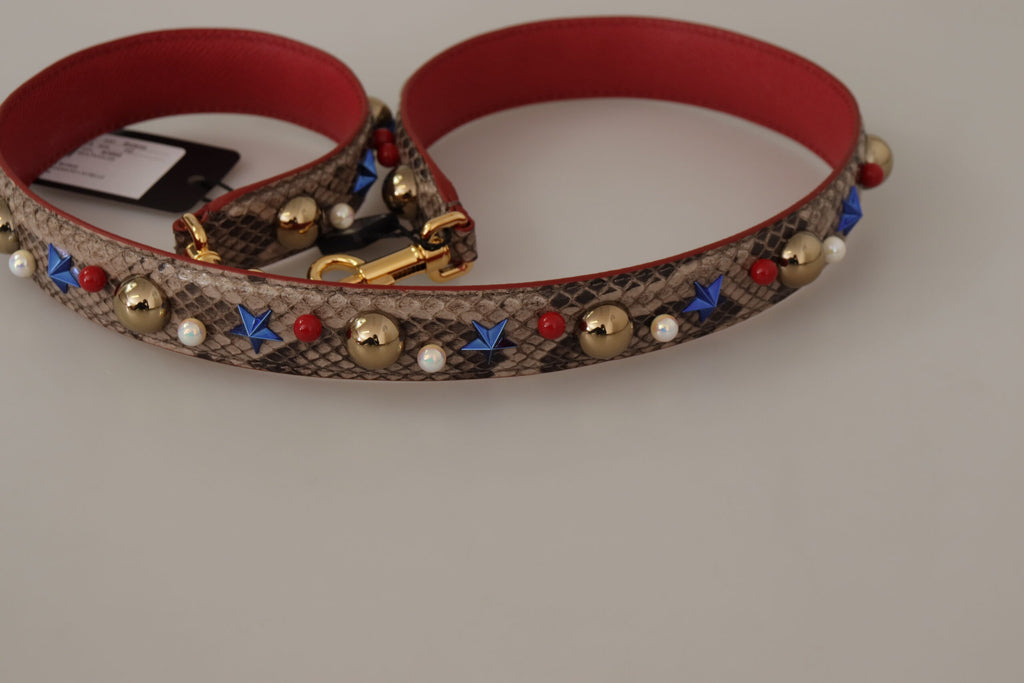 Tracolla borchiata Dolce & Gabbana in pelle di pitone marrone