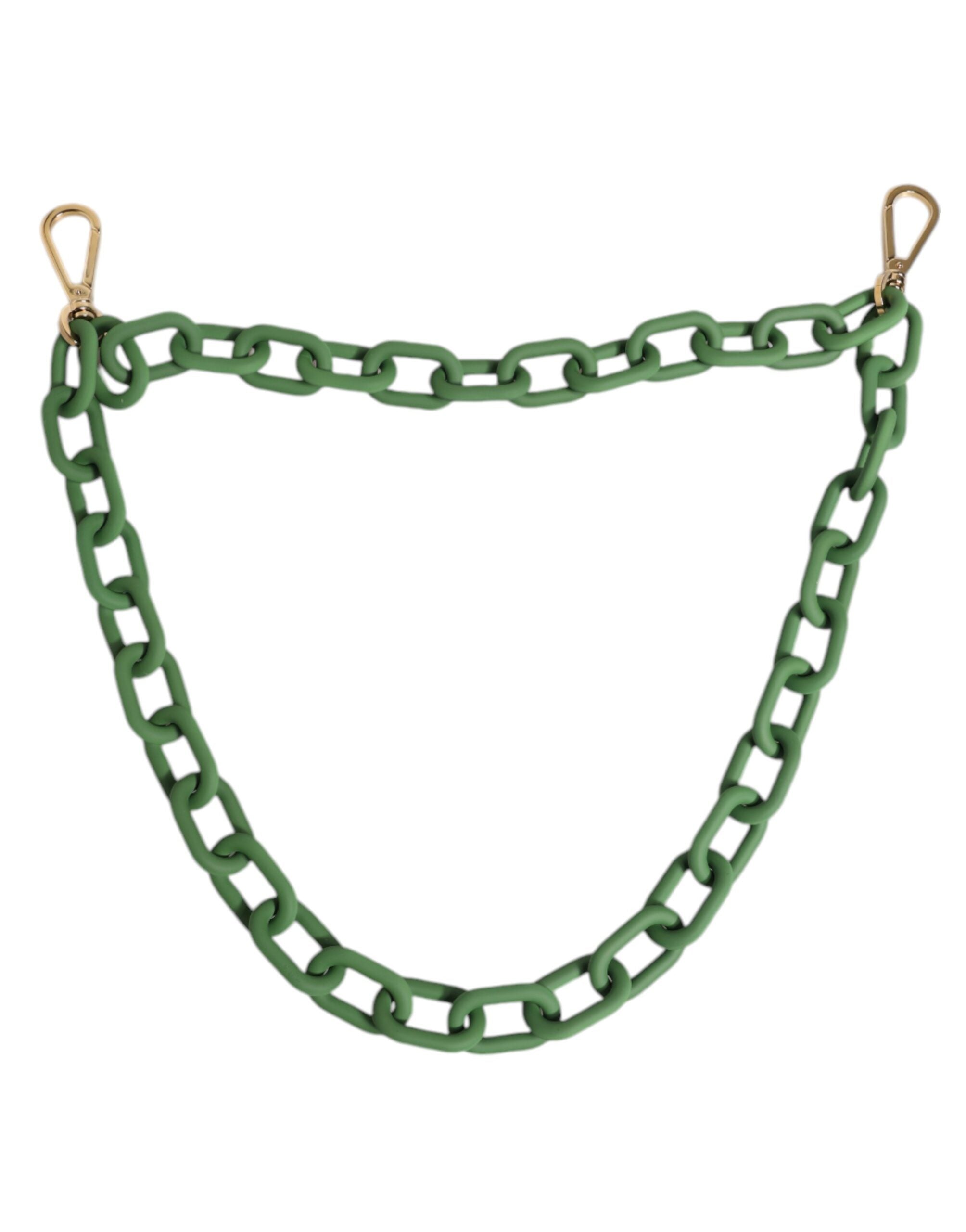 Dolce & Gabbana Catena per Portafoglio in Plexy Acrilico Verde con Dettagli Dorati Spessi