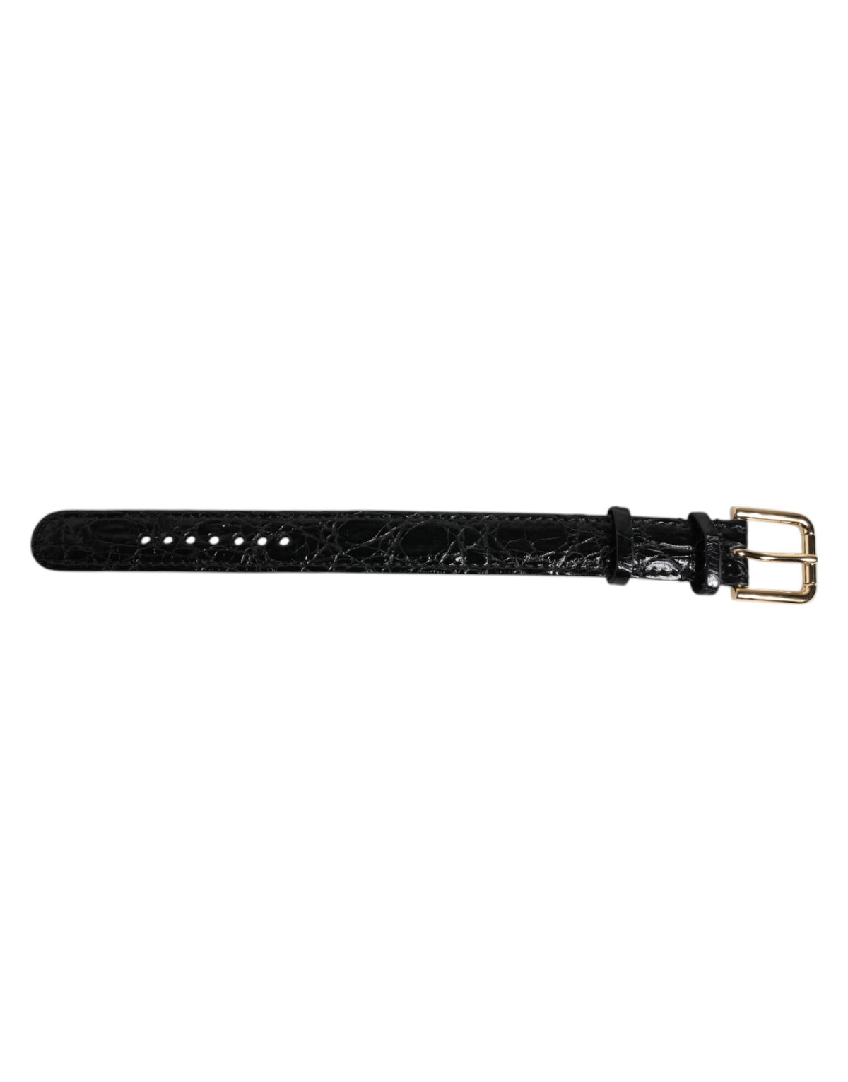 Bracciale Dolce & Gabbana in Pelle Esotica Nera con Fibbia in Metallo Color Oro