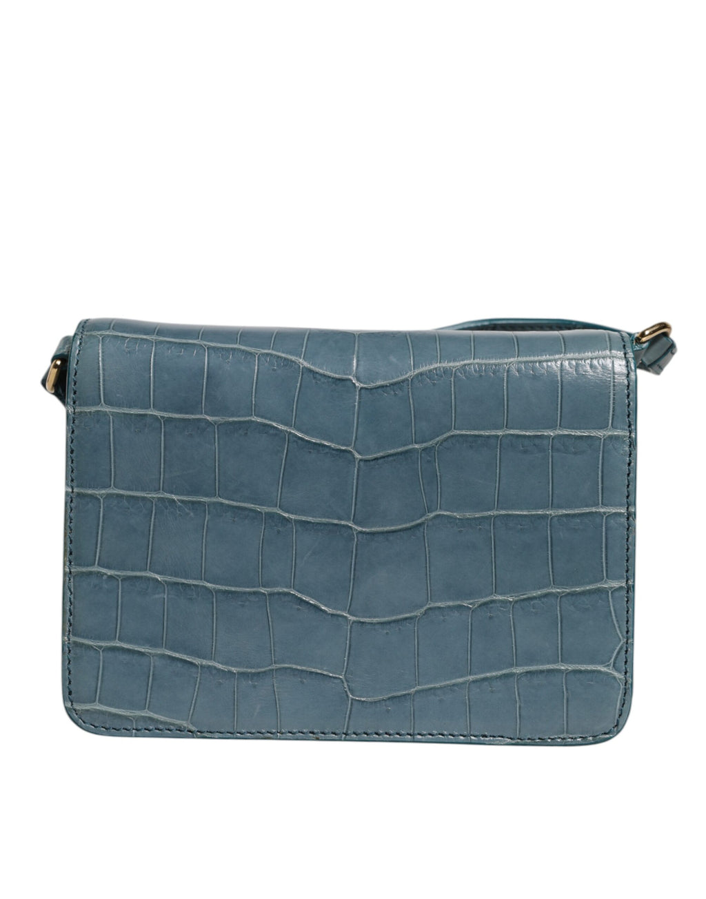 Mini borsa a tracolla Dolce & Gabbana in pelle esotica verde con placca DG