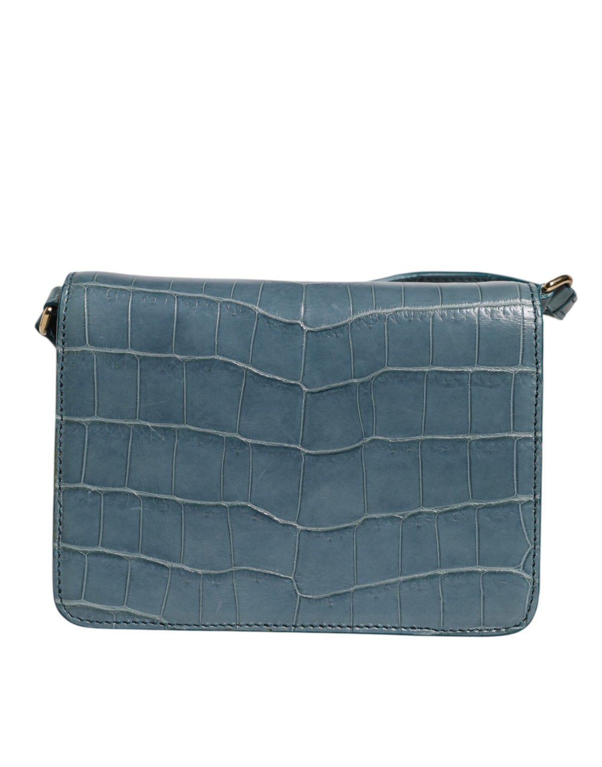 Mini borsa a tracolla Dolce & Gabbana in pelle esotica verde con placca DG