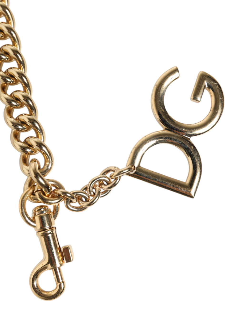 Dolce & Gabbana Tracolla Accessoria con Catena in Ottone Dorato e Stampa Leopardo Marrone