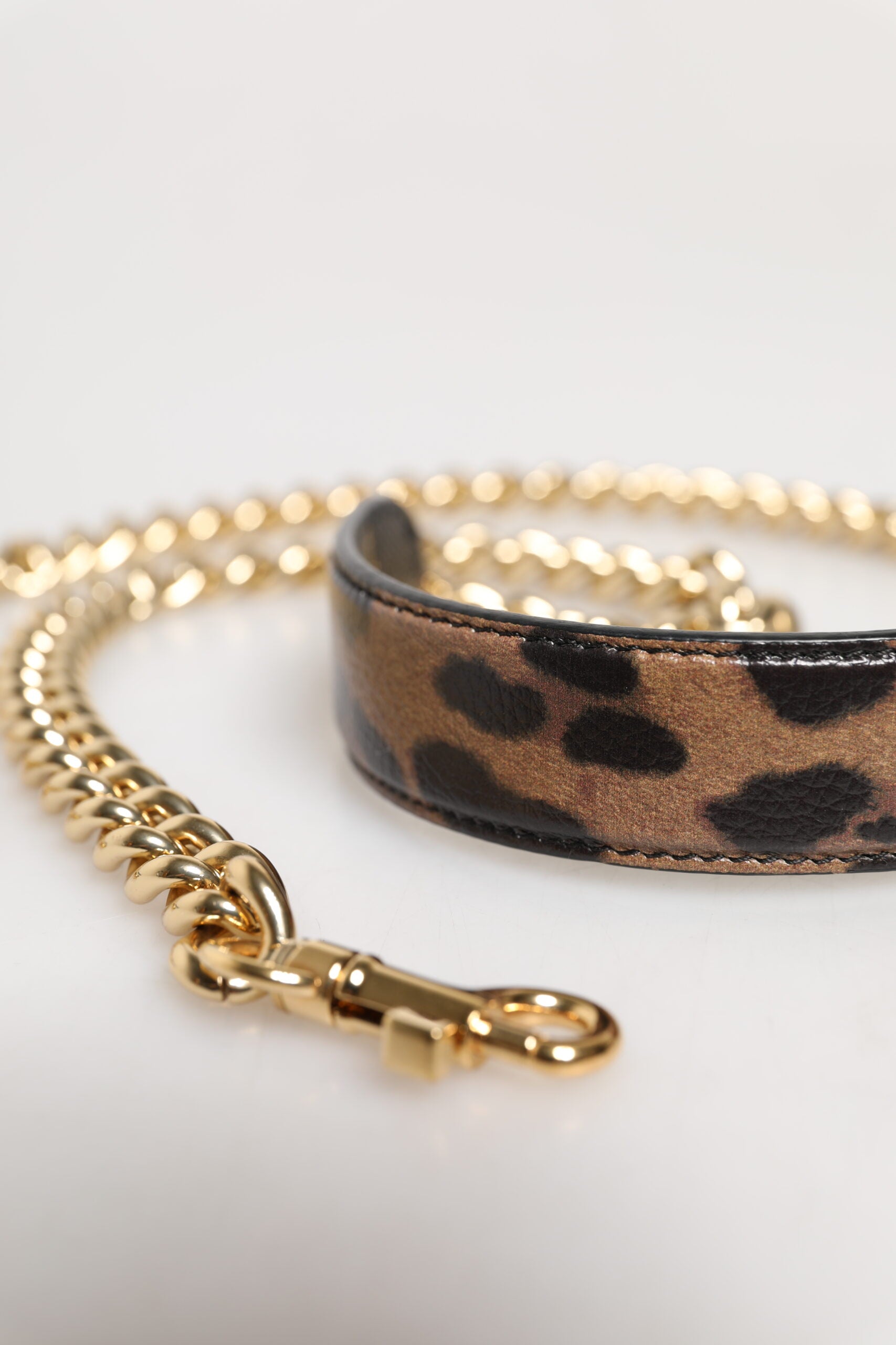 Dolce & Gabbana Tracolla Accessoria con Catena in Ottone Dorato e Stampa Leopardo Marrone