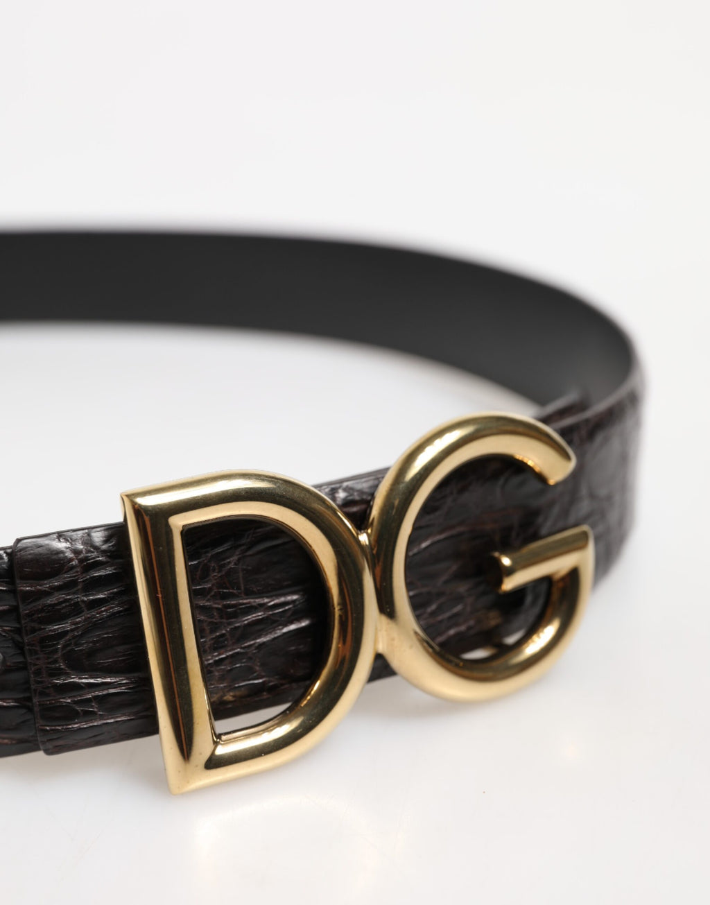 Cintura Dolce & Gabbana nera in pelle esotica con fibbia logo DG