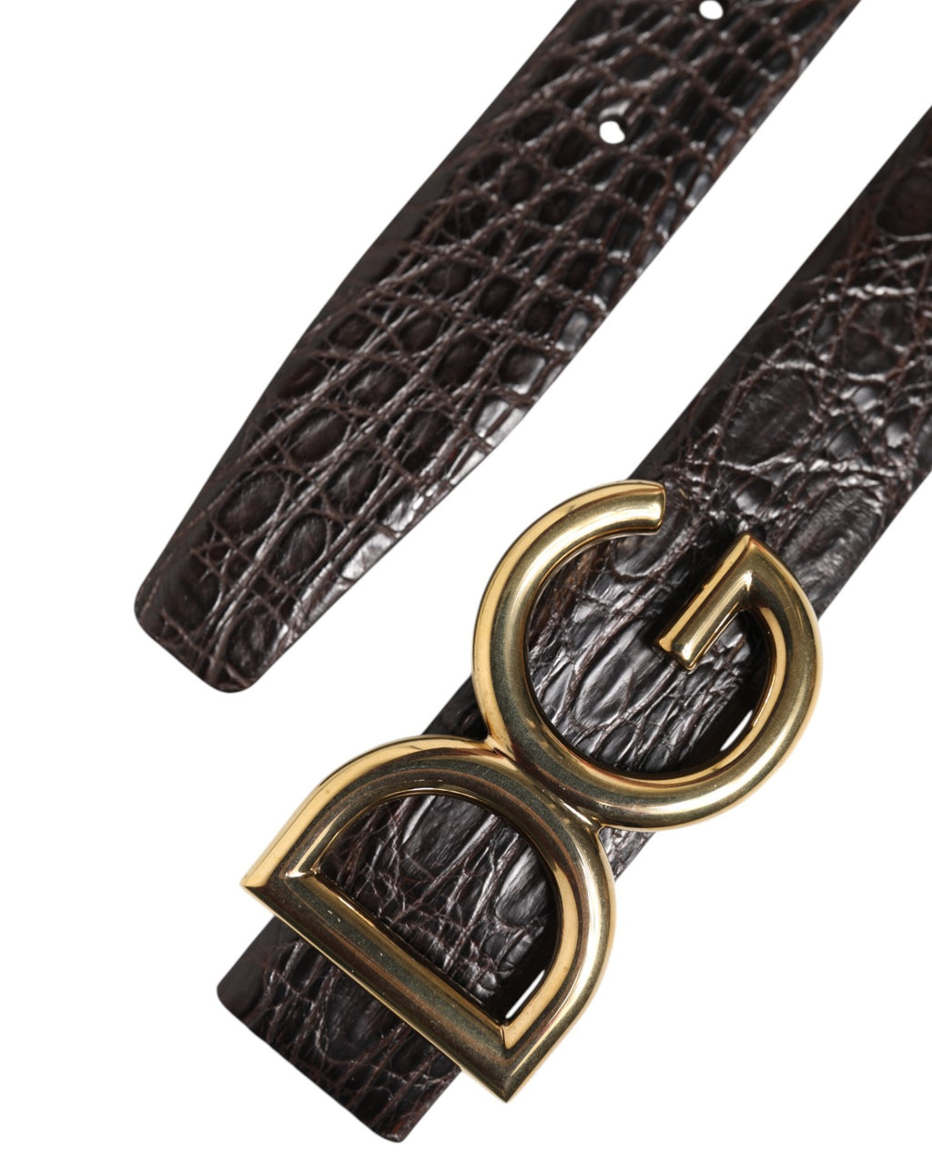 Cintura Dolce & Gabbana nera in pelle esotica con fibbia logo DG