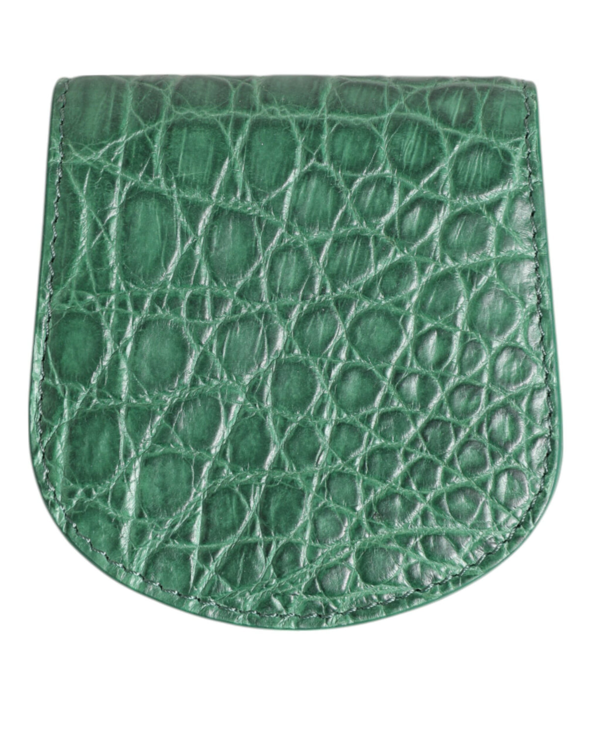 Dolce & Gabbana Portamonete Custodia Porta Condom Tascabile in Pelle Esotica Verde