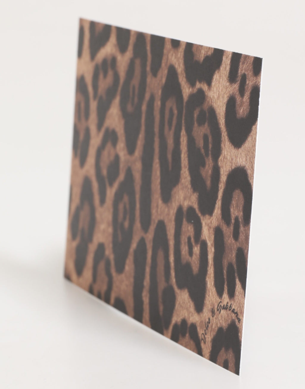 Porta cartoline in carta busta con stampa leopardata multicolore Dolce & Gabbana
