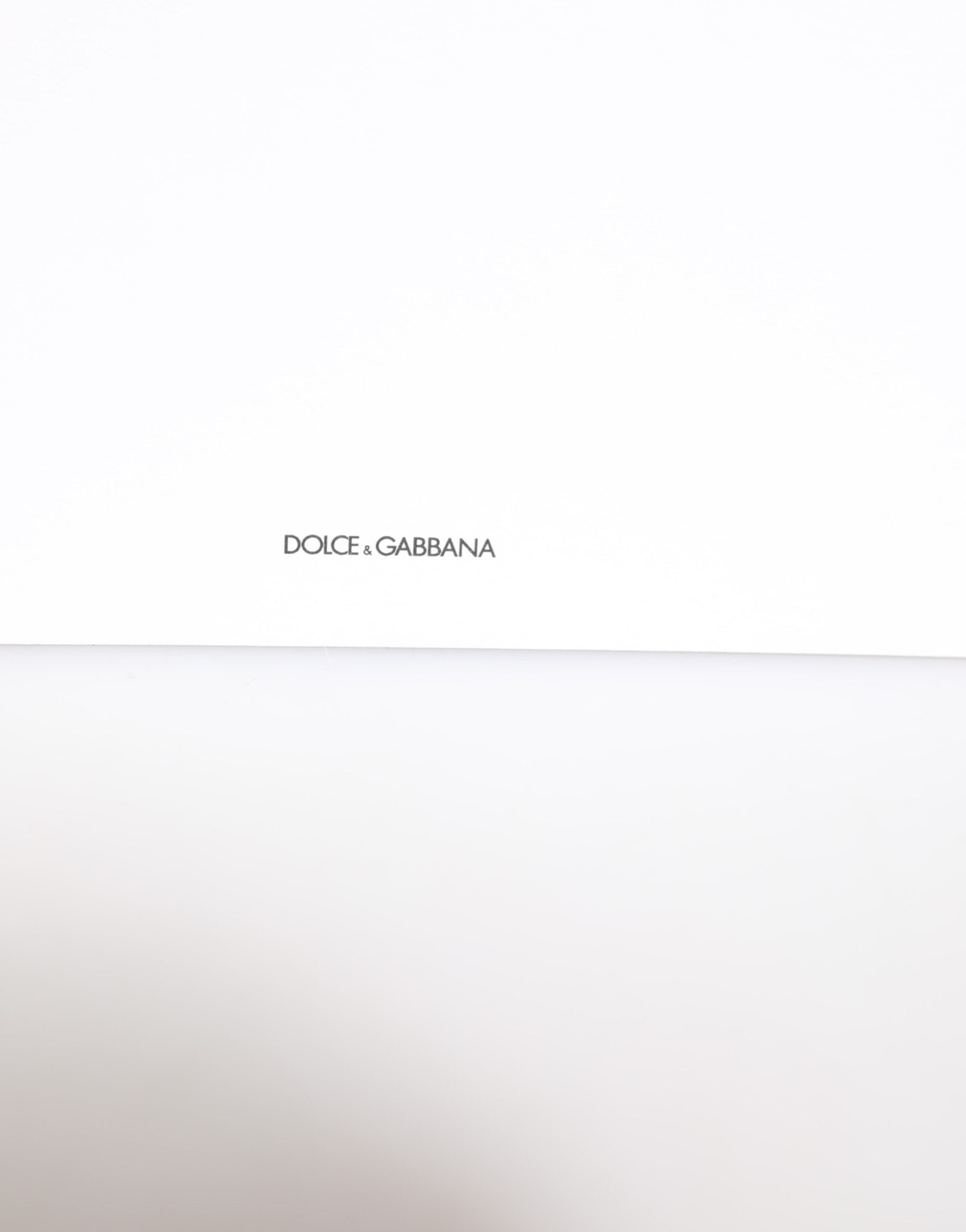 Porta cartoline in carta busta con stampa leopardata multicolore Dolce & Gabbana