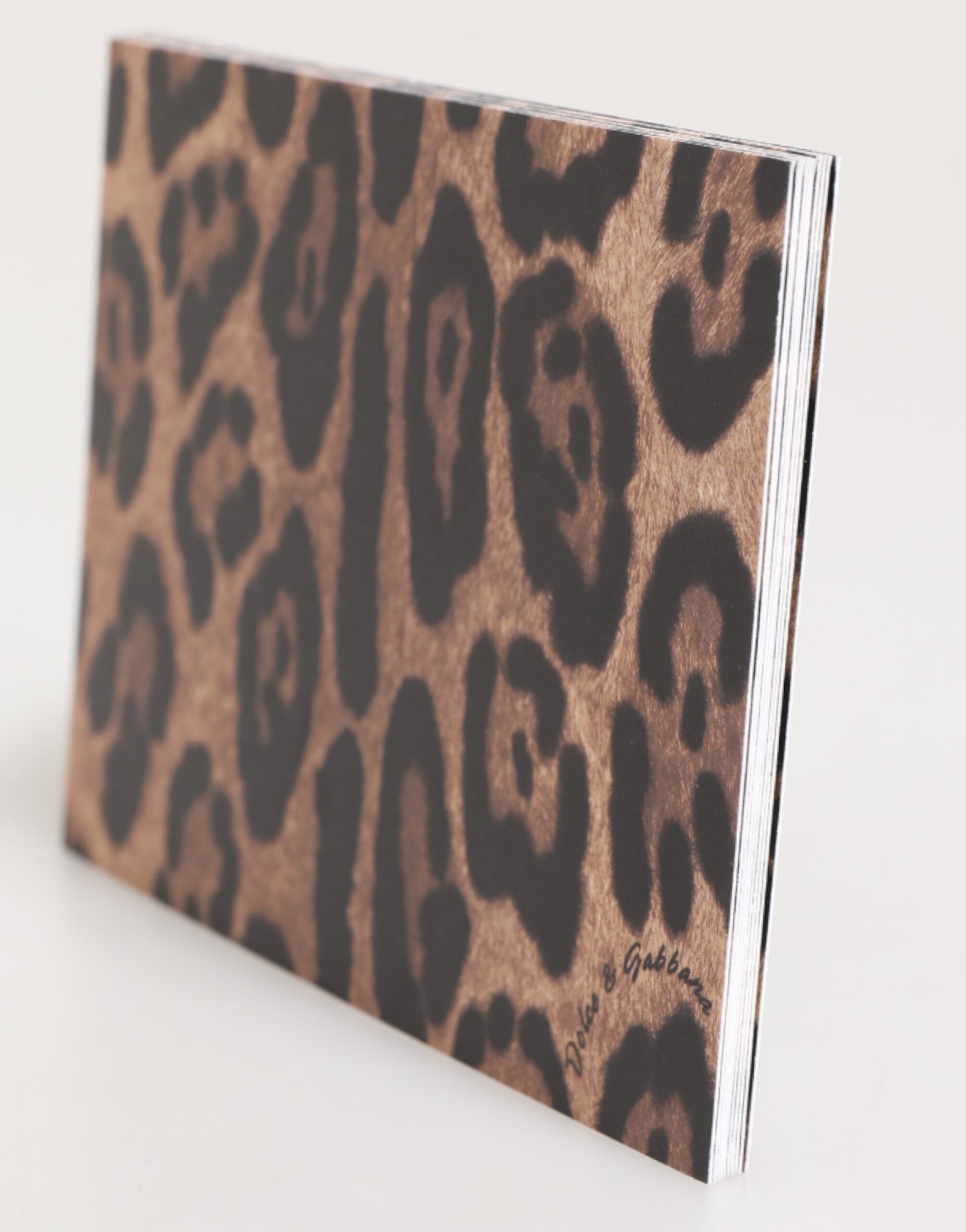 Porta cartoline in carta busta con stampa leopardata multicolore Dolce & Gabbana