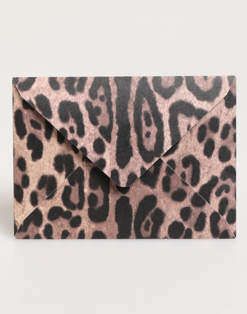 Porta cartoline in carta busta con stampa leopardata multicolore Dolce & Gabbana