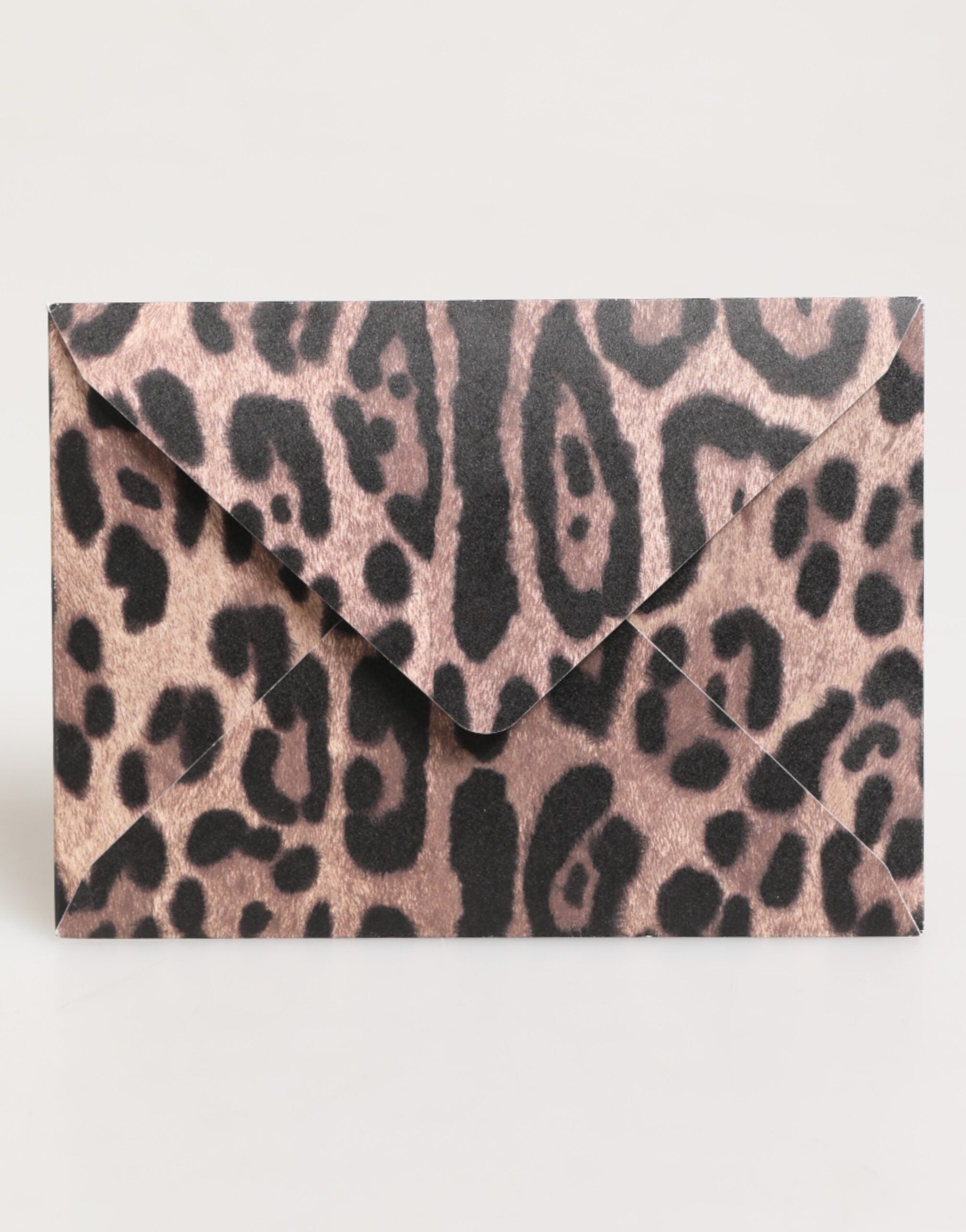 Porta cartoline in carta busta con stampa leopardata multicolore Dolce & Gabbana