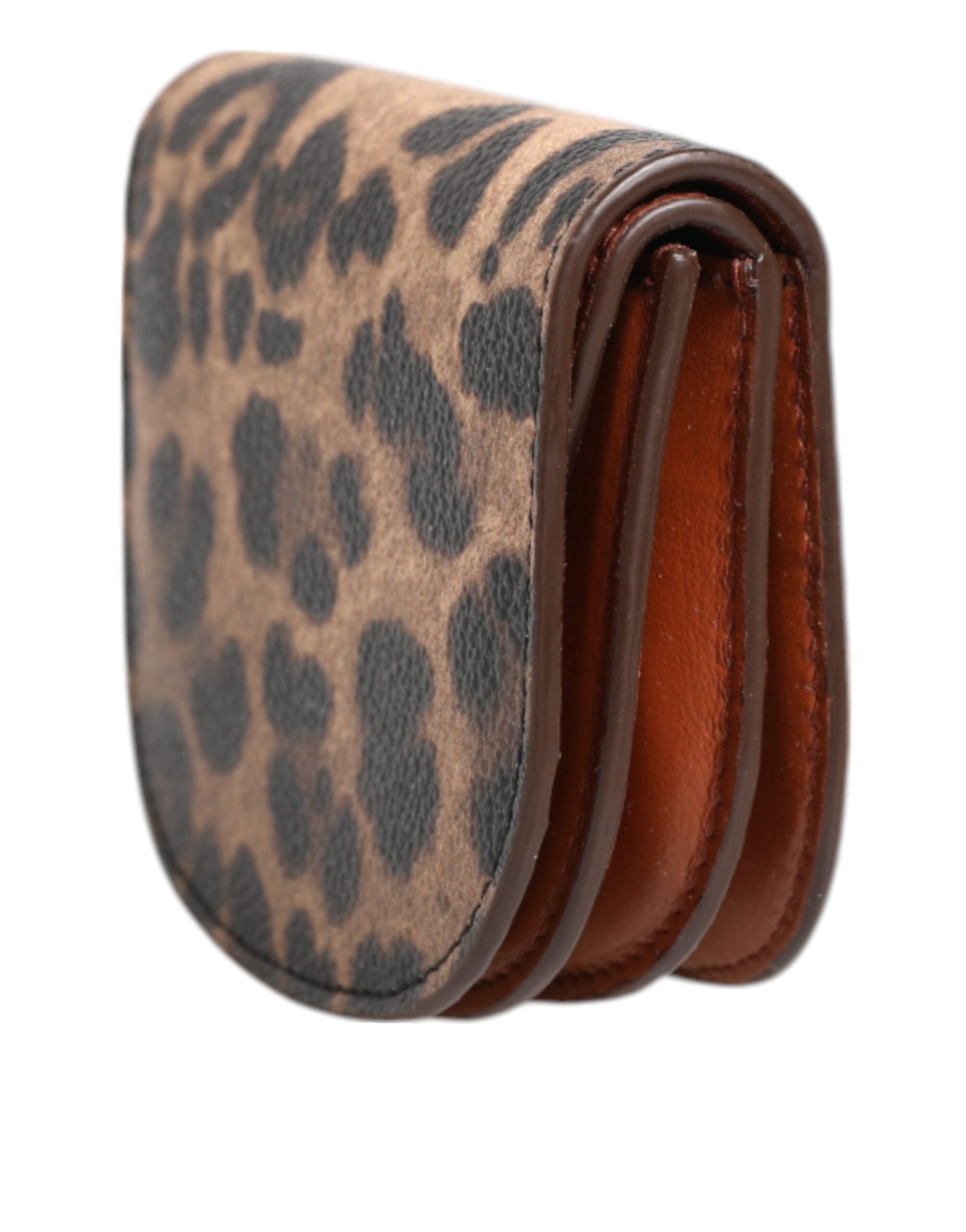 Dolce & Gabbana Portamonete piccolo in pelle di vitello stampa leopardo marrone
