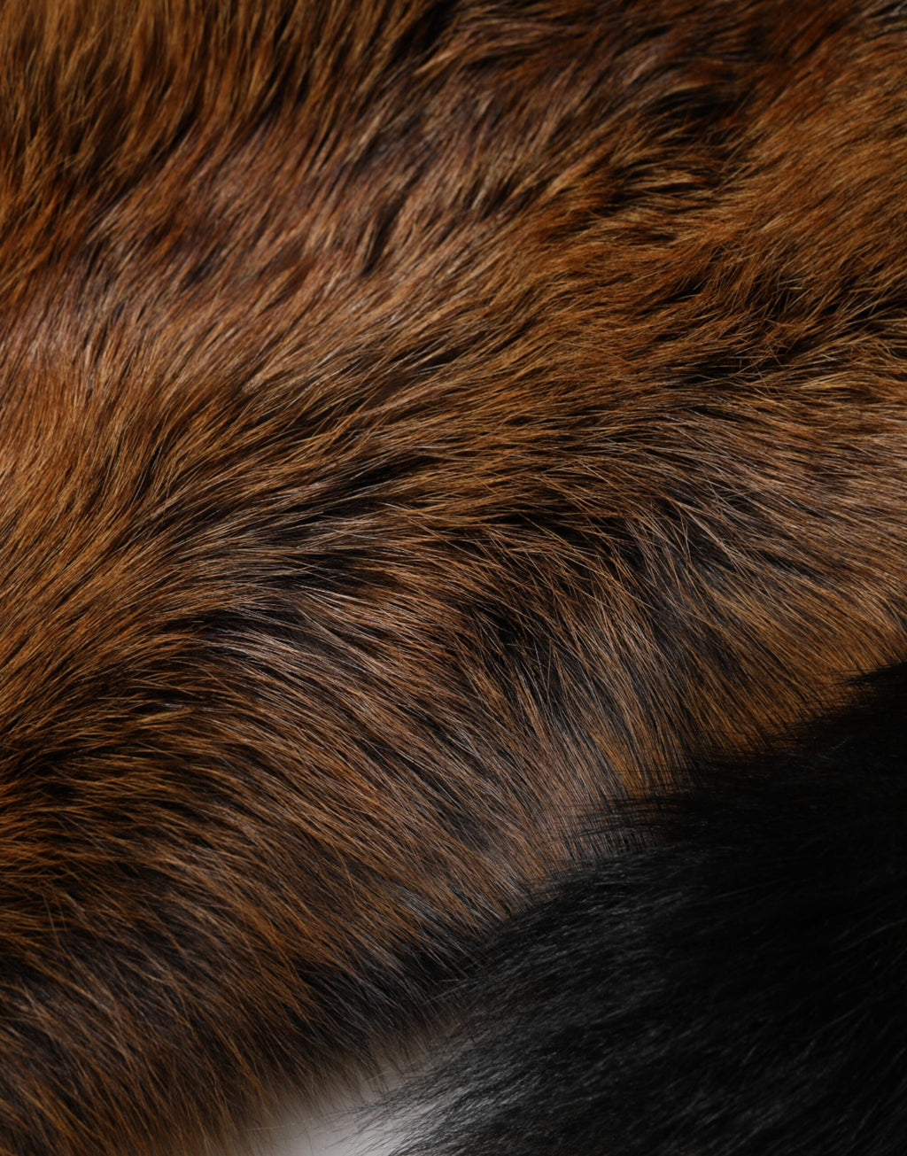 Sciarpa scaldacollo in cashmere con pelliccia di volpe rossa Dolce & Gabbana marrone